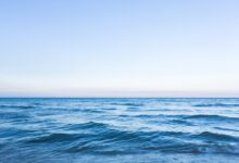 Photo of Австралиски тинејџер пливал четири часа за да спаси мајка, брат и сестра