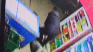 Photo of (Видео) ГРАДОНАЧАЛНИКОТ НА НИШ СПРЕЧИ ФИЛМСКИ ГРАБЕЖ СО МАЧЕТА? Снимка што ја вознемири јавноста се шири на социјалните мрежи!