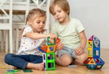 Photo of Никој не може со сигурност да каже дека во државата се продаваат безбедна козметика и детски играчки – извештај на државниот ревизор за ДСЗИ за 2024 г.