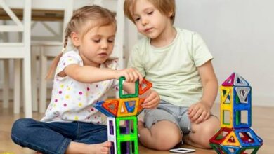 Photo of Никој не може со сигурност да каже дека во државата се продаваат безбедна козметика и детски играчки – извештај на државниот ревизор за ДСЗИ за 2024 г.