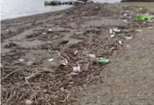 Photo of (ВИДЕО) Брегот на Охридското Езеро во Струга затрупан со ѓубре