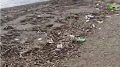 Photo of Брегот на Охридското Езеро во Струга затрупан со ѓубре