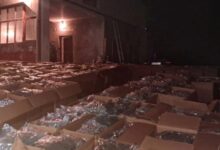 Photo of Од првичните 27 тони, запленетата марихуана во Скопје и во Струмица достигна 40 тони, дознава Телма