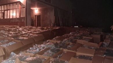 Photo of Од првичните 27 тони, запленетата марихуана во Скопје и во Струмица достигна 40 тони, дознава Телма