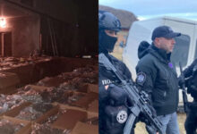 Photo of (Видео) Србија ја тресе најголемата нарко-афера која води до Македонија: рекордна заплена на марихуана