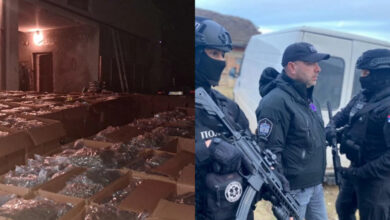 Photo of (Видео) Србија ја тресе најголемата нарко-афера која води до Македонија: рекордна заплена на марихуана
