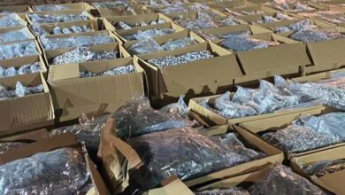 Photo of „Радар“: Обвинителката која ја водеше акцијата за рекордната заплена на дрога во Србија ќе биде сменета