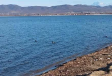 Photo of Врнежите го полнат Дојранското Езеро, водостојот зголемен за околу 50 сантиметри