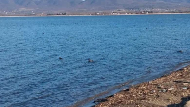 Photo of Врнежите го полнат Дојранското Езеро, водостојот зголемен за околу 50 сантиметри