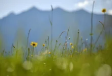 Photo of Утре сончево и топло со температури до 18 степени