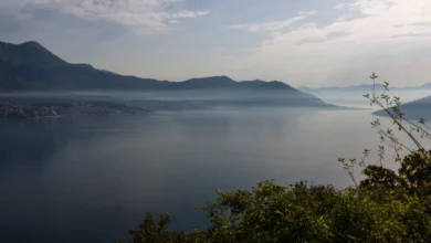 Photo of Истражување: Светските езера се загрозени од ширење на големи инвазивни животни