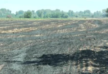 Photo of Жител на Чашка запалил стрништа во неговиот блок кое се проширило на соседниот блок, повредени лица нема