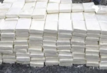 Photo of Рекордна заплена во Денкерк: Француските цариници во февруари открија 13 тони кокаин