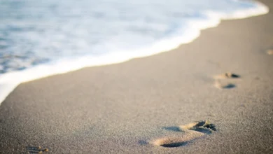 Photo of Истражување: Одењето може да ги открие емоциите на луѓето