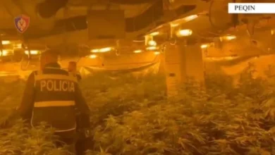 Photo of Директорот на затворот во Рогижина, Албанија  одгледувал марихуана, по него распишана потерница