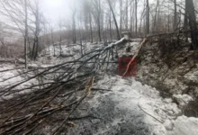 Photo of Во невремето во Хрватска оштетени 40 основни и средни училишта, како и 24 градинки