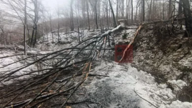 Photo of Во невремето во Хрватска оштетени 40 основни и средни училишта, како и 24 градинки