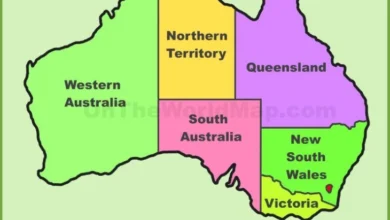 Photo of Австралија: Бесплатен јавен превоз во Викторија и Тасманија поради скапото гориво