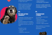 Photo of ЈП Лајка ја промовира иницијативата за привремено згрижување на бездомни кучиња