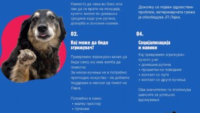 Photo of ЈП Лајка ја промовира иницијативата за привремено згрижување на бездомни кучиња