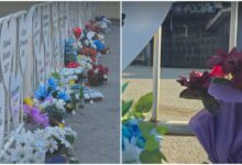 Photo of (Видео) Утрово солзи во Кочани: Родителите ги гушкаат срцињата со имињата на своите деца