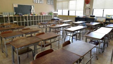 Photo of Драма во струшко: Го отворил прозорецот, влегол во училиштето и почнал да крши