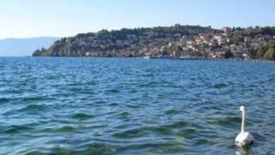 Photo of Ќе се урива куќа изградена без дозвола во Трпејца: Kривична за инвеститорката