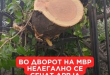 Photo of Зелен хуман град: Во дворот на МВР нелегално се сечат дрвја