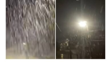 Photo of (ВИДЕО) Трупаше снег во делови од Македонија