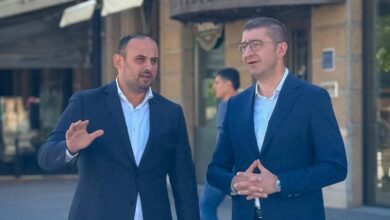 Photo of Кумашинка на Мицкоски седна во Управниот одбор на ЈП Паркови и зеленило