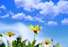 Photo of Сончево и топло со температури до 18 степени