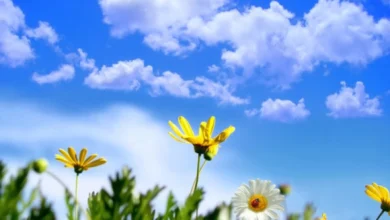 Photo of Сончево и топло со температури до 18 степени