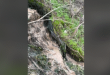 Photo of Независни за Карпош: Канализација се излева во Горно Нерези, Општината упорно дава одобренија за градби