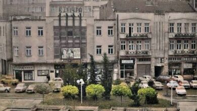 Photo of Кино Култура