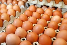 Photo of Спречен е нелегален увоз на над 40 тони јајца од Србија