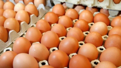 Photo of Спречен е нелегален увоз на над 40 тони јајца од Србија