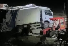 Photo of (Видео) Мечка забележана на паркинг во Ростуше