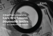 Photo of „Тела за еднократна употреба“ – видеоинсталација на словенечката уметница Лара Рајхман