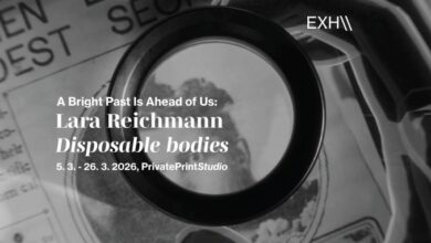 Photo of „Тела за еднократна употреба“ – видеоинсталација на словенечката уметница Лара Рајхман