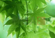 Photo of Променливо облачно со сончеви периоди, попладне локален слаб дожд