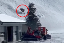 Photo of Несреќа во швајцарски ски-центар: Едно лице загина по пад на кабина од жичница