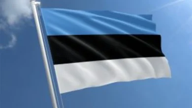 Photo of Руски борбен авион го наруши воздушниот простор на Естонија