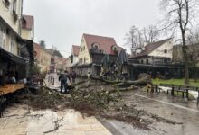 Photo of ФОТО: Десетици паднати дрвја, покриви, блокорани улицо… откажана наставата во Загреб по силниот ветер