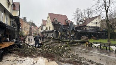 Photo of ФОТО: Десетици паднати дрвја, покриви, блокорани улицо… откажана наставата во Загреб по силниот ветер