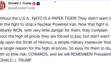 Photo of Трамп ги нарече сојузниците „кукавици“: НАТО е „тигар од хартија“ без САД