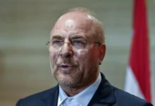 Photo of Калибаф: Околу седум милиони Иранци се подготвени доброволно да се борат против САД