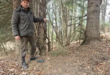 Photo of Во НП Маврово поставени 60 камери за видеонадзор