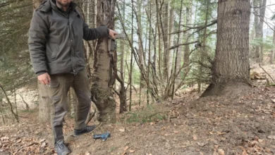 Photo of Во НП Маврово поставени 60 камери за видеонадзор