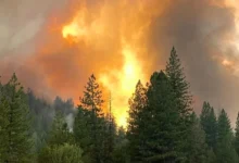 Photo of Евакуации во јужна Калифорнија поради брзорастечки шумски пожар