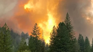 Photo of Евакуации во јужна Калифорнија поради брзорастечки шумски пожар